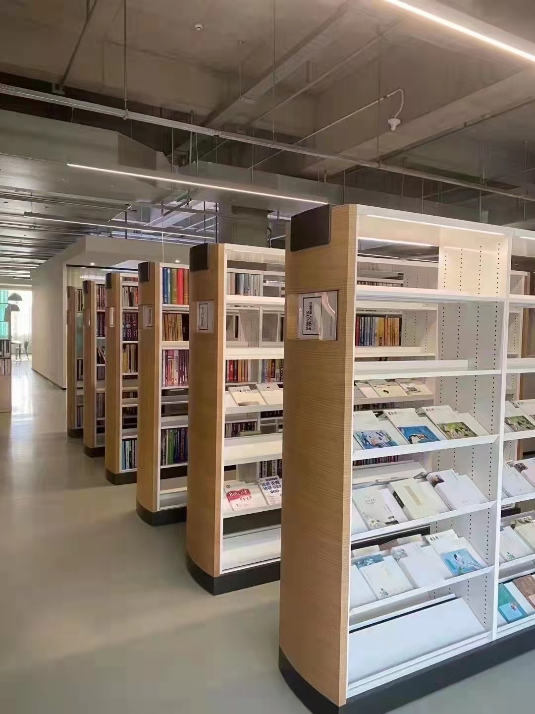 圖書館學校家具